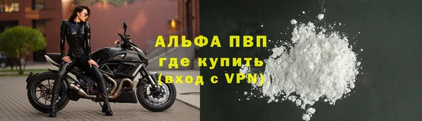 СК Волосово