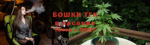 СК Волосово